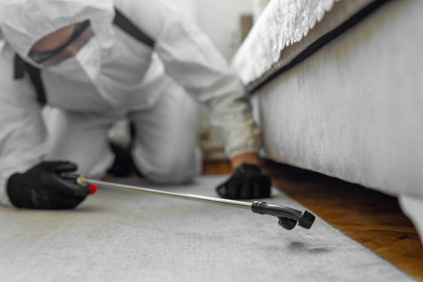 Professional Bed Bug Control technician working in Woodcreek, TX