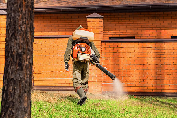 Trusted Emergency Pest Control service in Woodcreek, TX - Nex Pest Control